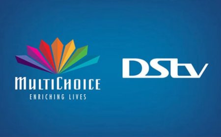 MultiChoice Talent Factory Academy Program 2026 For Africans | How To Apply