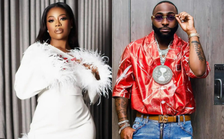 I’m not Davido’s wife,’ Sophia Momodu tells fans
