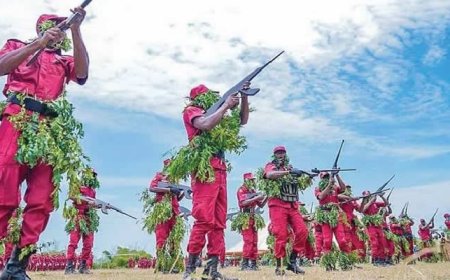 Amotekun arrests 39 suspects fleeing Sokoto in Ondo forest