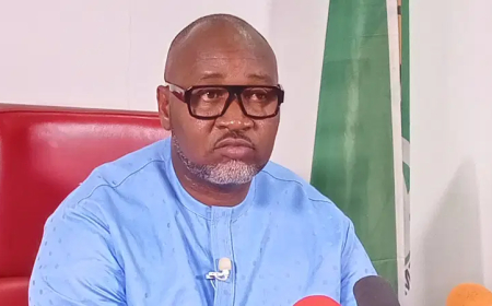 We can’t start 2026 with more taxes, Kachikwu tells Tinubu