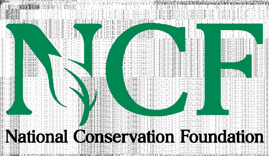 NCF, partners unveil initiative to combat deforestation