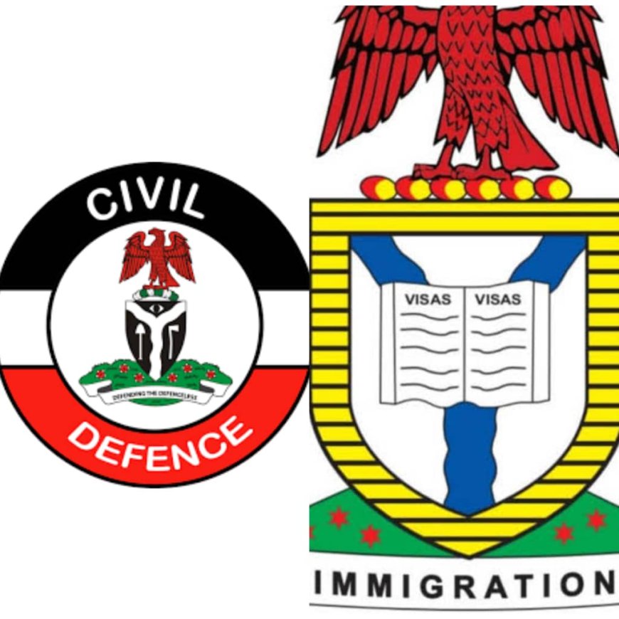 FULL LIST: Physical verification centres for immigration, fire service, NSCDC screening