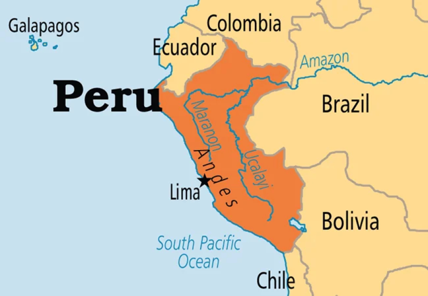 Peru presidential hopeful survives gun attack