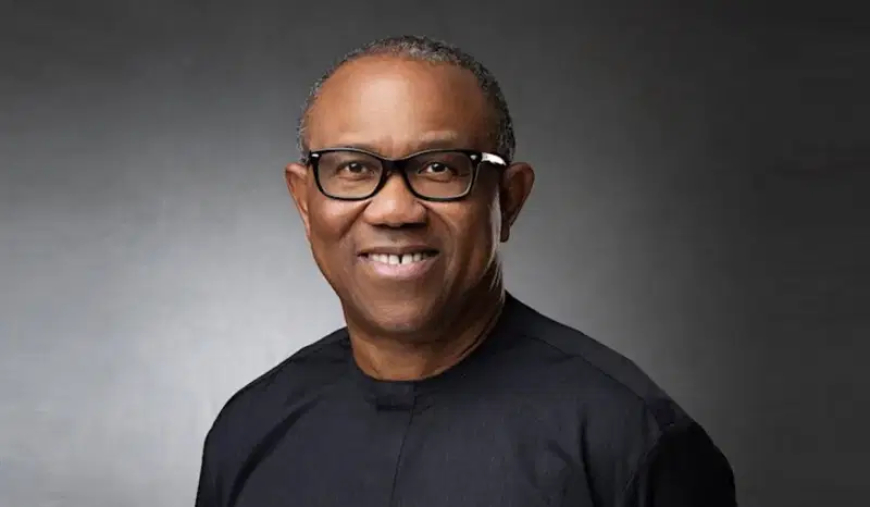 Distribution of campaign vehicles, misplacement of priorities — Peter Obi