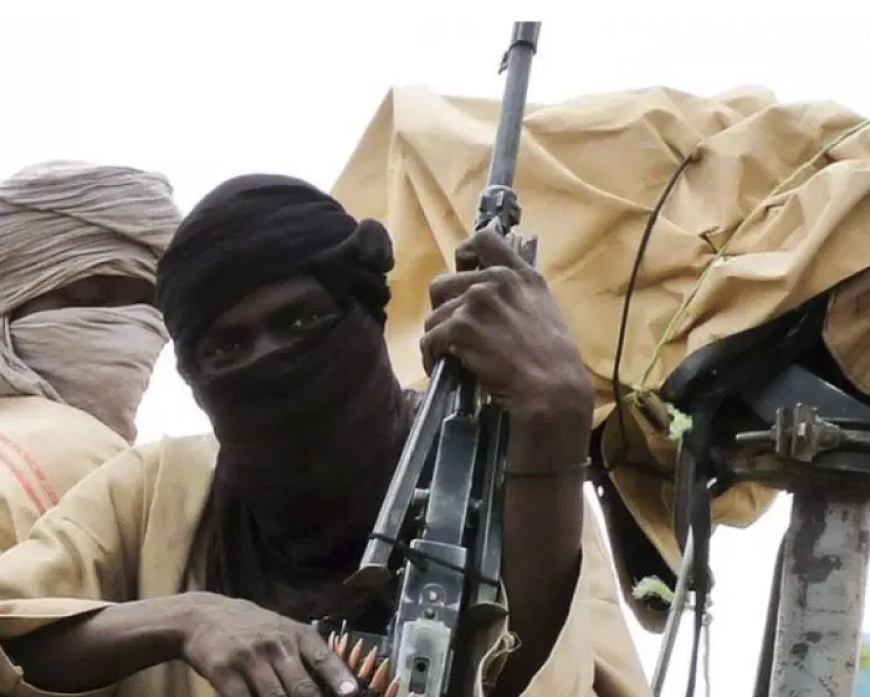 Bandits abduct elderly man, injure son in Kano border community