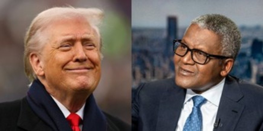 Dangote reveals how Trump feels about his refinery