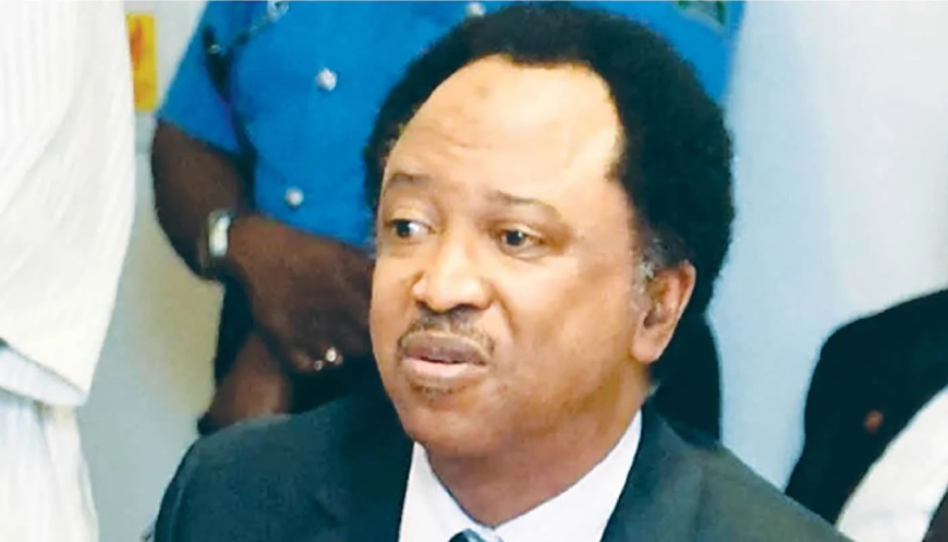 US visa restrictions: Shehu Sani urges Nigerians to focus on rebuilding Nigeria