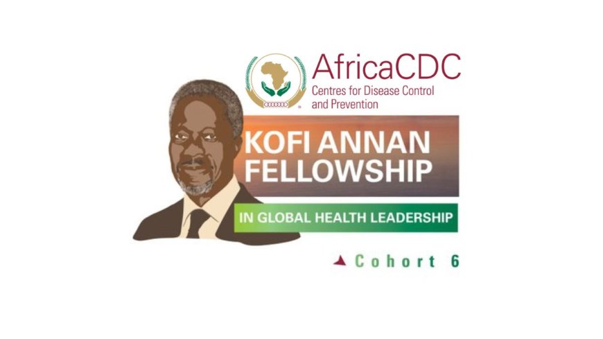 Kofi Annan Global Health Leadership Program For Africans (Fully Funded)