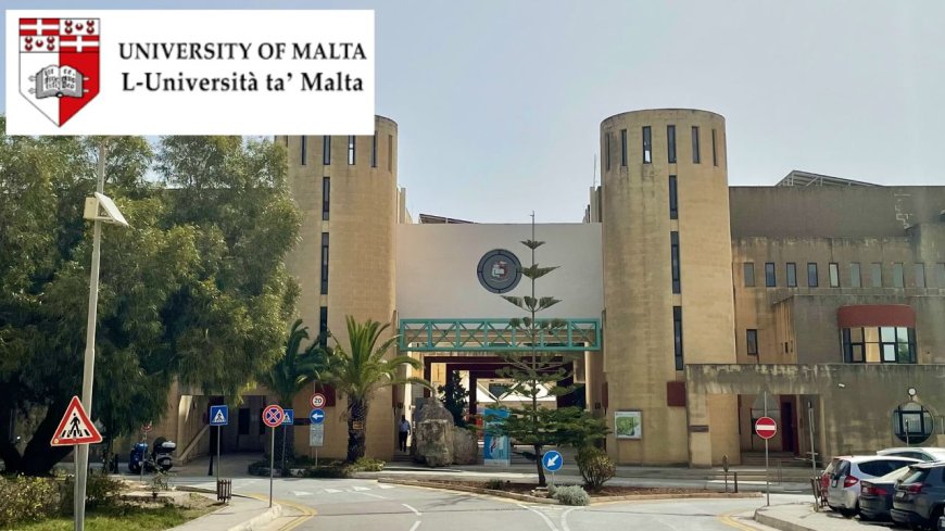 2026 University of Malta Scholarships For International Students | How to Apply