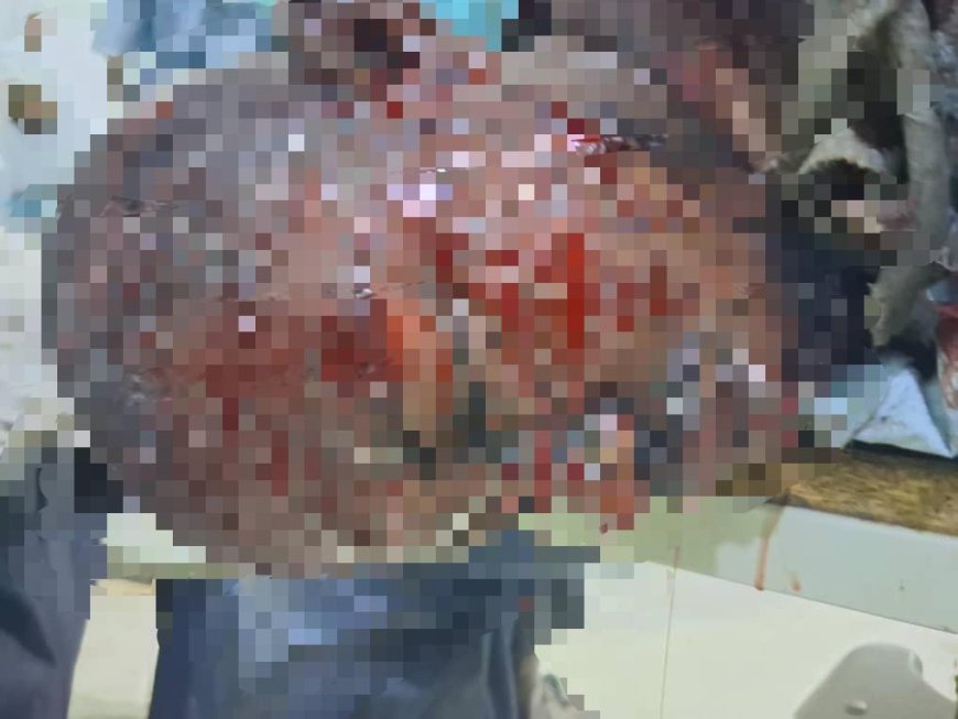 Boko Haram suicide bomber behind Borno mosque blast, army says