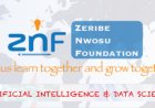ZNF AI and Data Science Scholarship (Zeribe Nwosu Foundation) 2026 | How To Apply