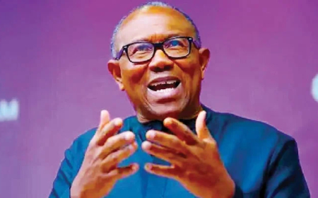 Peter Obi calls for national unity, renewal in New Year Message