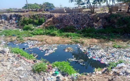 Flooding: Kaduna community calls for river dredging, permanent relocation