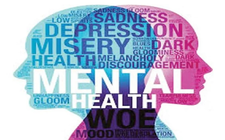 Survivor unveils website on mental health