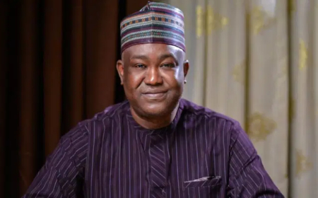 Nigeria needs steadfast leadership, says Olawepo-Hashim