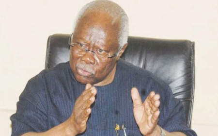Bode George decries harassment of Bauchi, Oyo govs