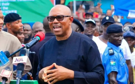 Nigeria’s problem is leadership, not resources – Obi