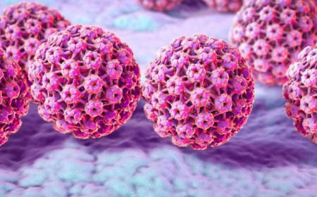Marital status not linked to HPV, cervical dysplasia risk — Expert