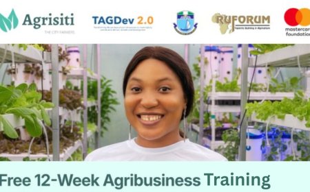 Mastercard Agrisiti Hybrid Digital Training Program for Africans (TAGDev 2.0) | How To Apply