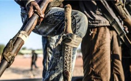 Gunmen attack national park service office in Oyo, kill five