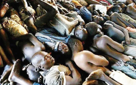 FG to spend N49bn on inmate welfare, prison upgrades