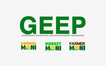 Federal Government Enterprise and Empowerment Program (GEEP) 2026 | How To Apply