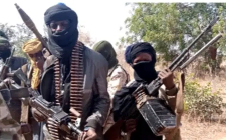 Again, bandits invade Niger community; kill four