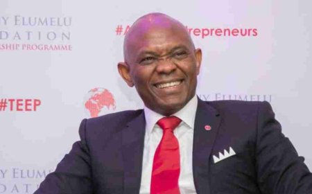 2026 Tony Elumelu Foundation Grant (TEF) For Africans | How to Apply