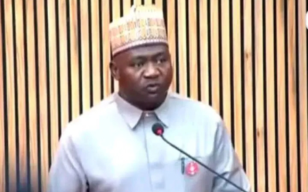 We’ll overcome security challenges — Defence Minister