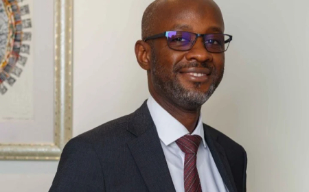 US-Nigeria air strikes have not achieved intended results – Expert