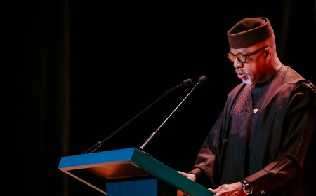 Mechanisation, Youth Farming Key to Ogun’s Agric Agenda