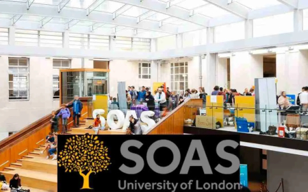 2026 SOAS London Allan and Nesta Ferguson Scholarships For Africans | Fully Funded