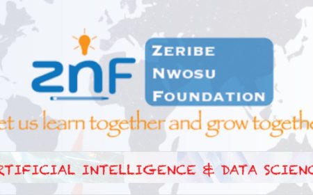 ZNF AI and Data Science Scholarship (Zeribe Nwosu Foundation) 2026 | How To Apply