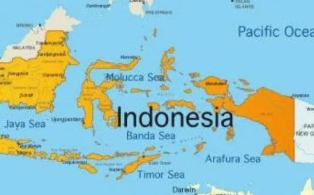 Indonesia plane goes missing with 10 people on board
