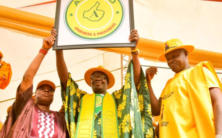 2027: Drama as Makinde’s advisory council member endorses Oriyomi as next Oyo gov