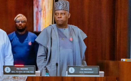 Shettima in Switzerland for World Economic Forum