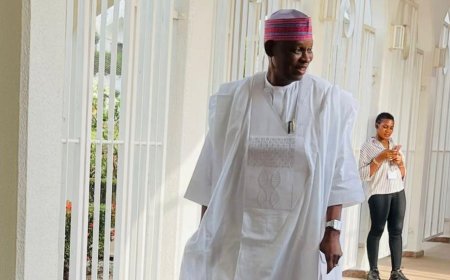 Kano gov meets Tinubu at Aso Rock