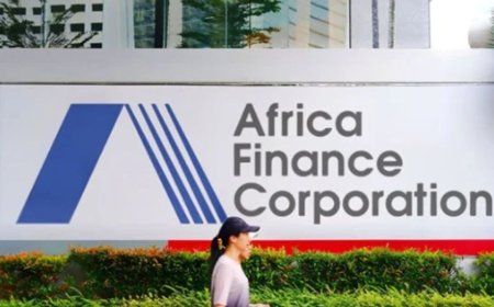 Africa Finance Corporation (AFC) Internship Program 2026 | How To Apply