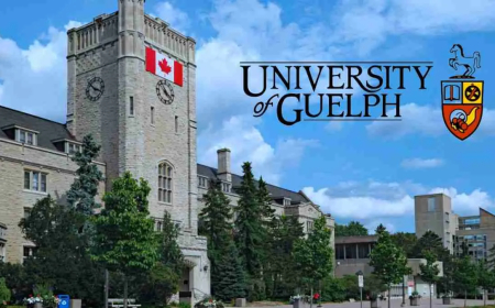 University of Guelph Entrance Scholarship in Canada 2026 | Step-by-Step Process