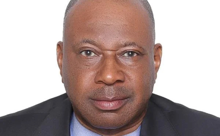 Wike appoints SSA on protocol