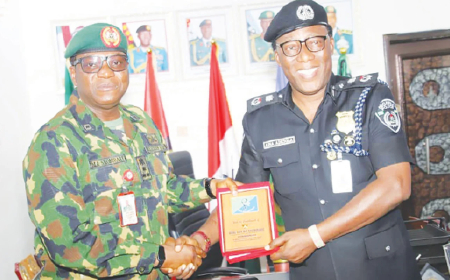 Army, police agree on collaboration in Delta