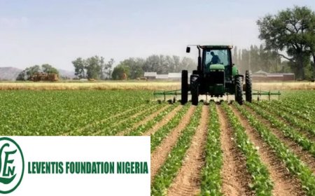 2026 Leventis Foundation Agricultural Training Programme (Fully Funded)