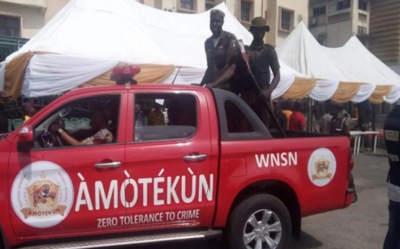 Amotekun nabs 16 suspected cattle rustlers in Ekiti
