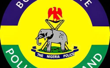 Police nab 22-year-old woman with 89 sachets of tramadol in Borno