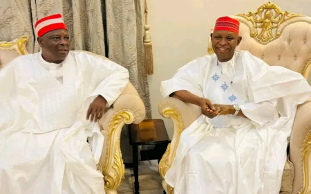 Kano govt warns against insulting Kwankwaso