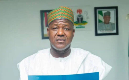 2027: Tinubu enjoys majority support despite dissenting voices — Dogara