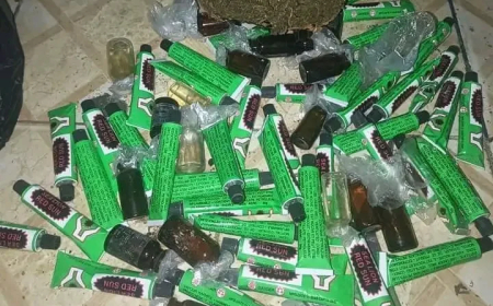 Police arrest four drug trafficking suspects in Kano