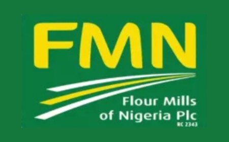 Flour Mills Future Leader Accelerator Program (FLAP) 2026 For Nigerians | How To Apply