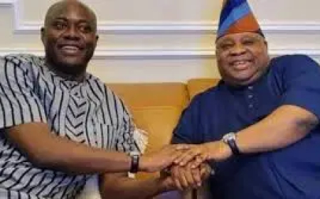 2027: Seven governors defying the APC hurricane