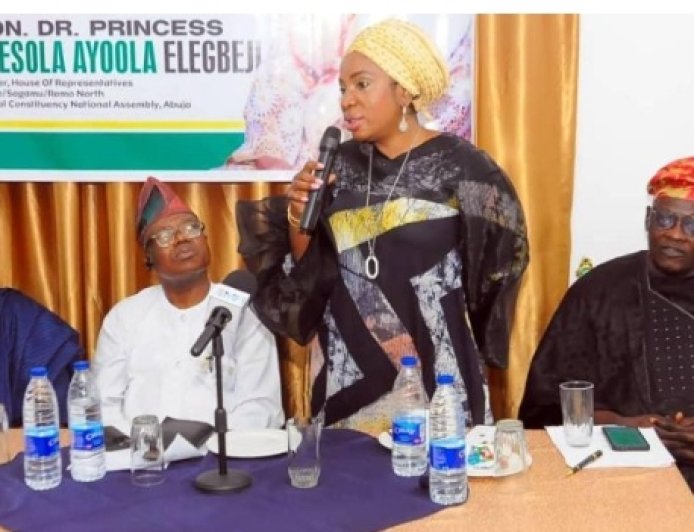 Remo Stakeholders Declare Support For National Assembly Member, Ayoola Elegbeji